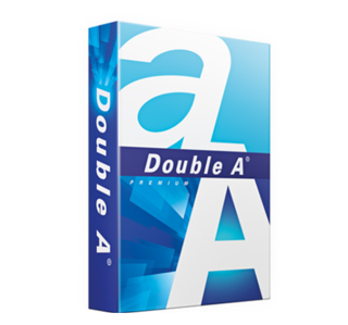 БИЧГИЙН ЦААС / Double A